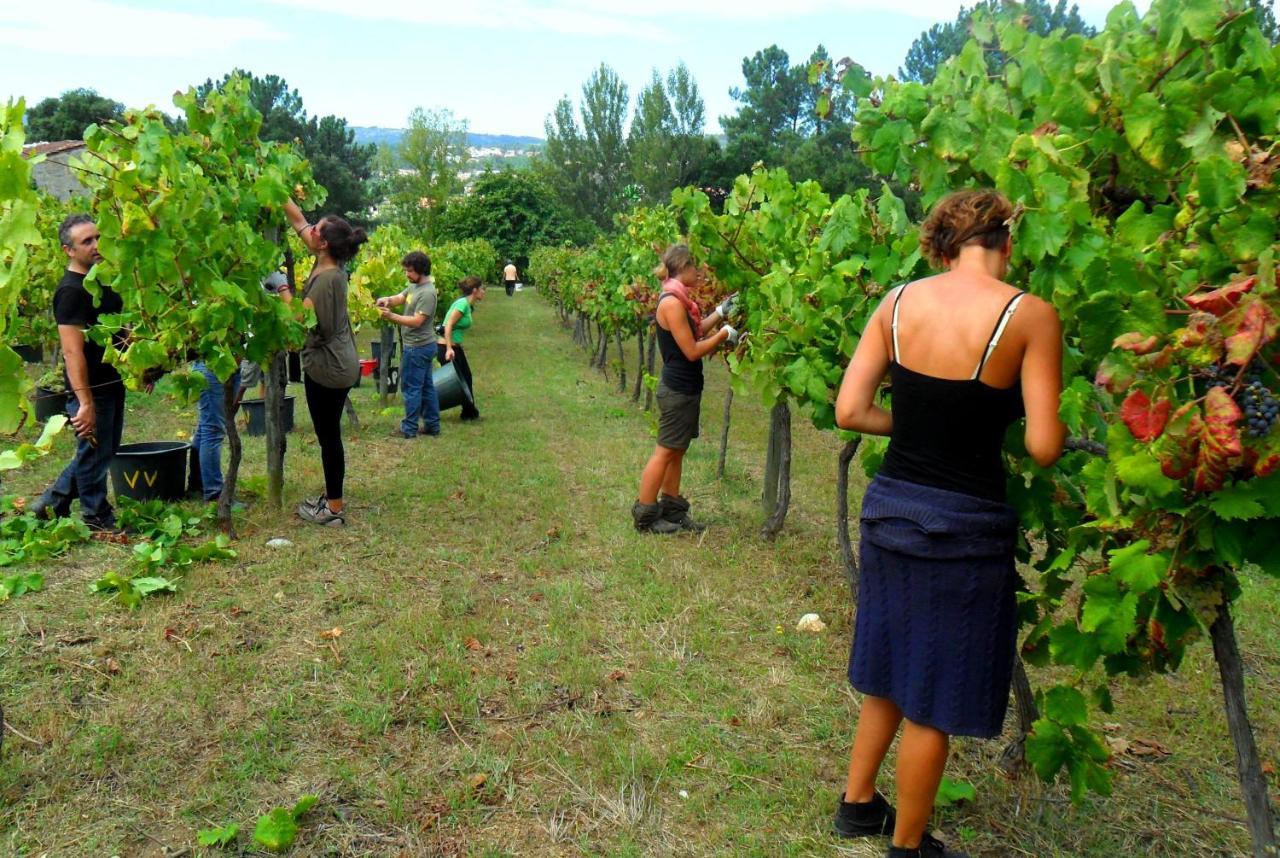 Verde Água Agroturismo e Agricultura Biológica Couto Exterior foto