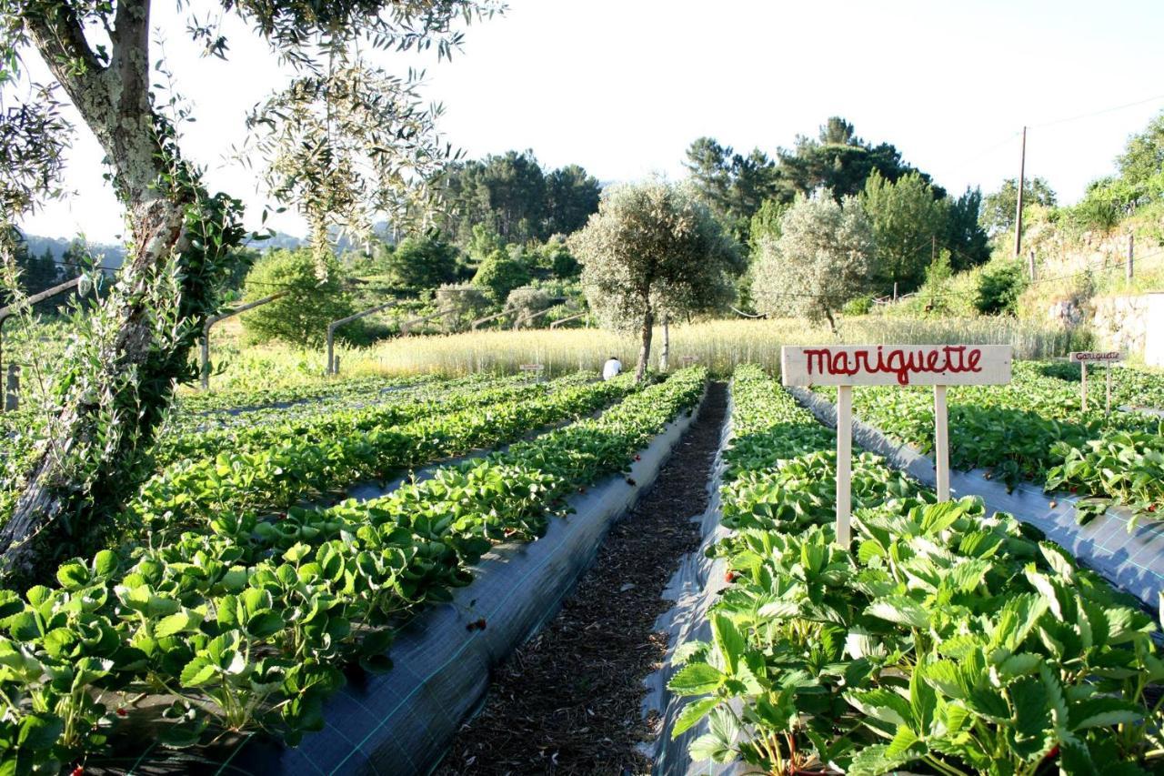 Verde Água Agroturismo e Agricultura Biológica Couto Exterior foto